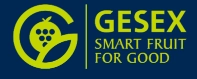 Logo-Gesex-IDM