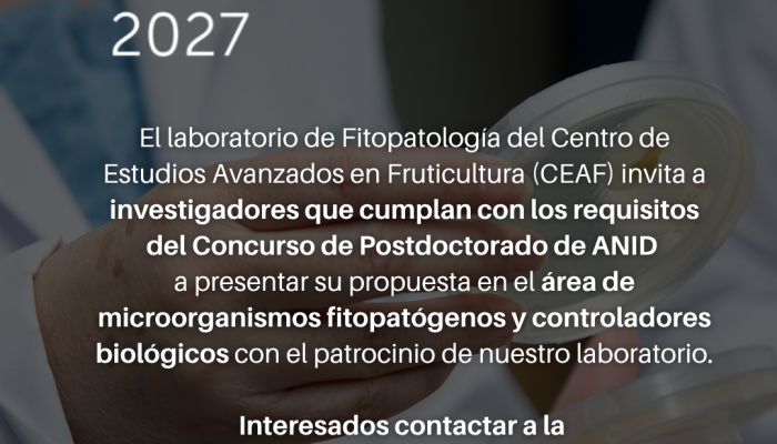 Patrocinio_Postdoc2027