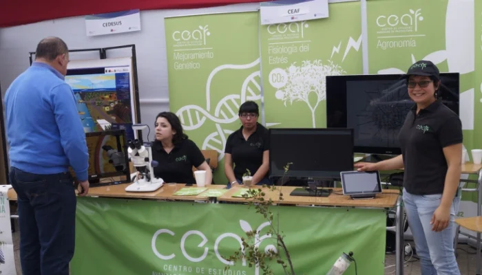 Stand-01