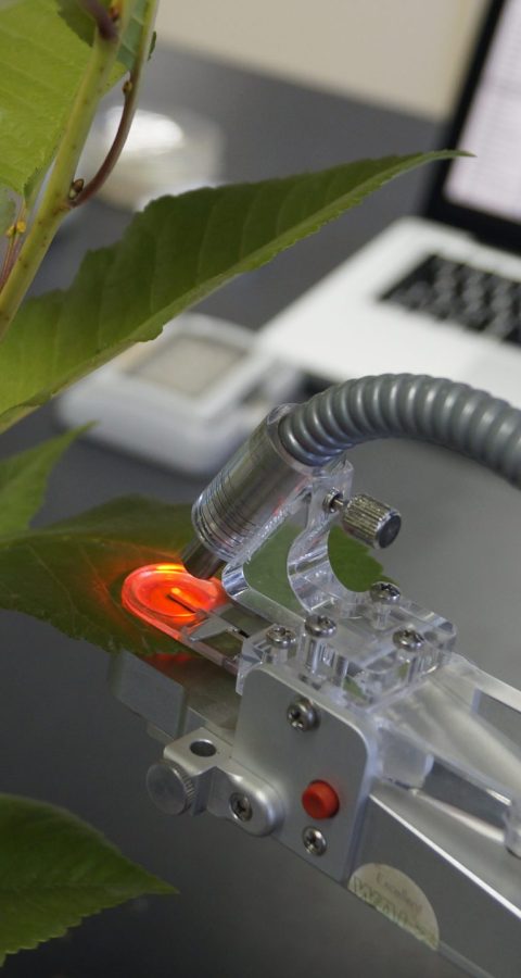 fluorometro 2 (1)