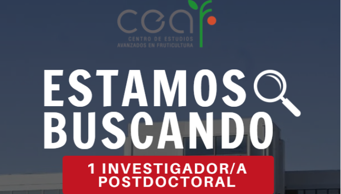 postdoc
